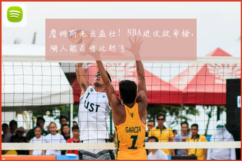 詹姆斯老当益壮！NBA进攻效率榜，湖人能否借此起飞